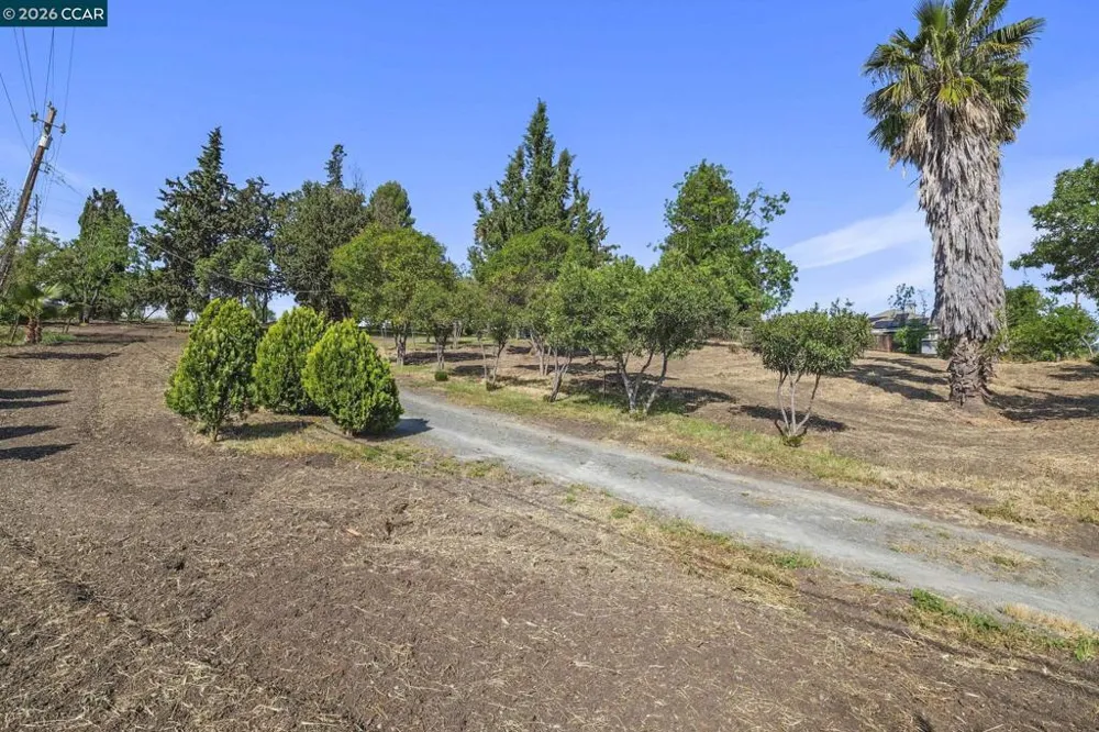 1051 Tilley Cir Concord, CA 94518