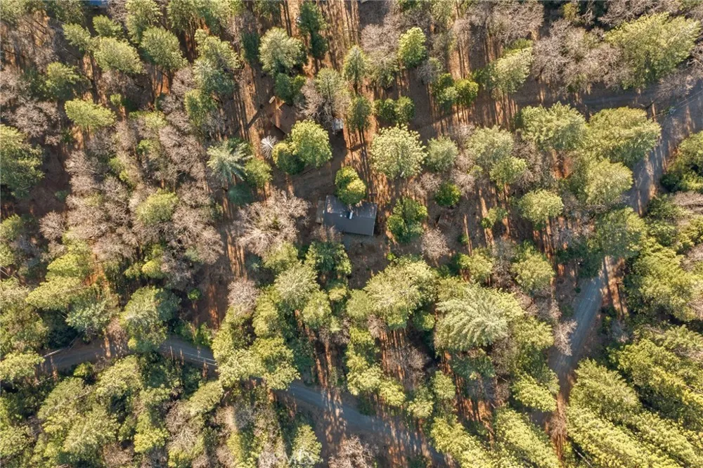 5498 Platt Mountain Forest Ranch, CA 95942