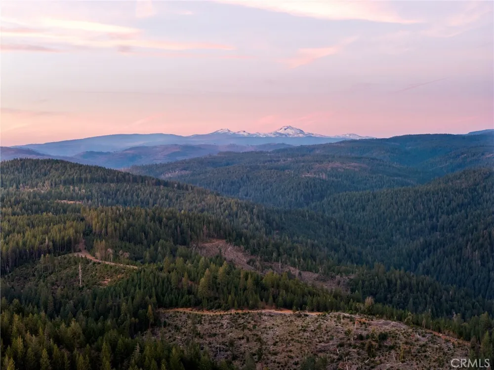 5498 Platt Mountain Forest Ranch, CA 95942