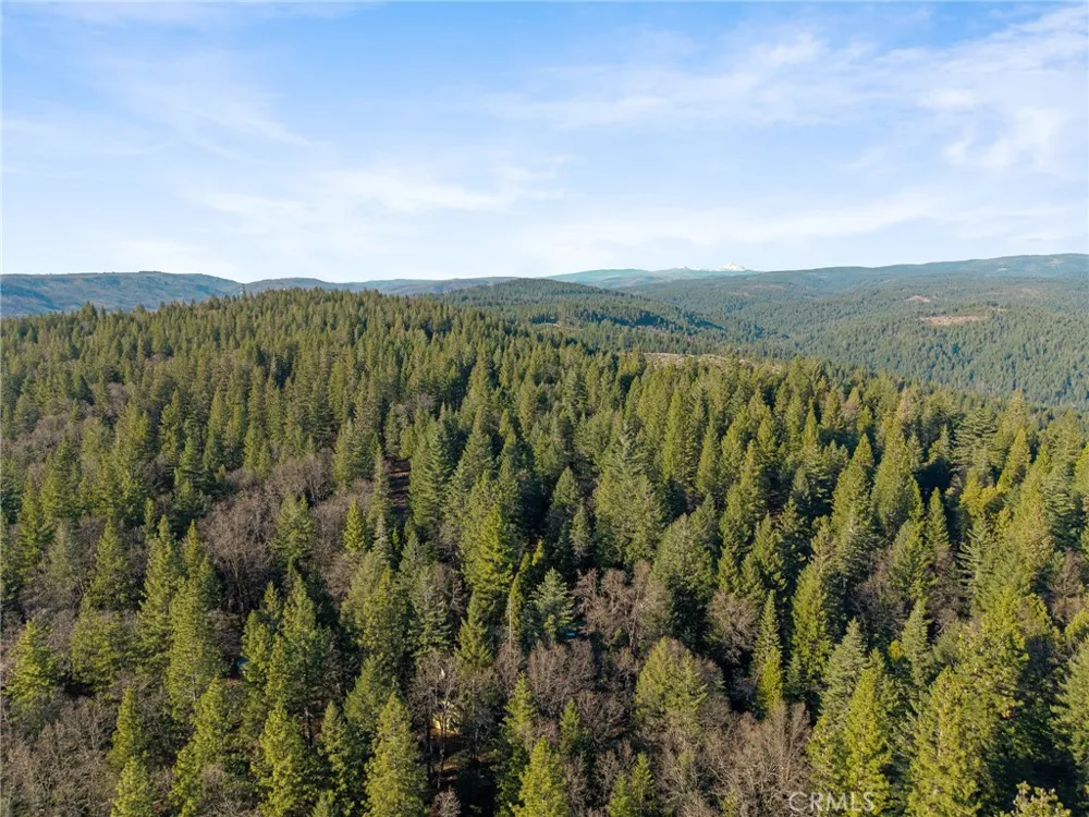 5498 Platt Mountain Forest Ranch, CA 95942