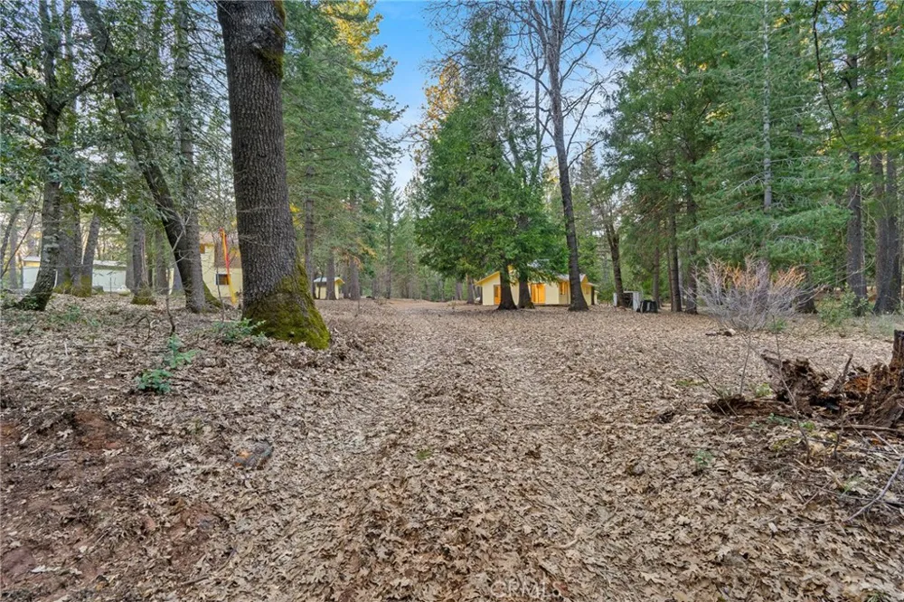 5498 Platt Mountain Forest Ranch, CA 95942