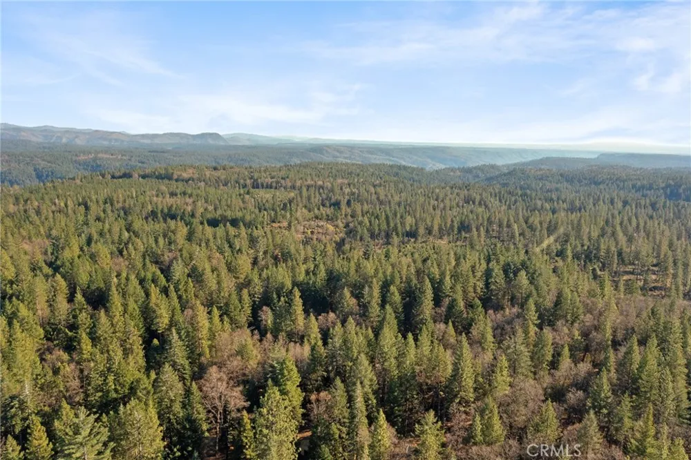 5498 Platt Mountain Forest Ranch, CA 95942