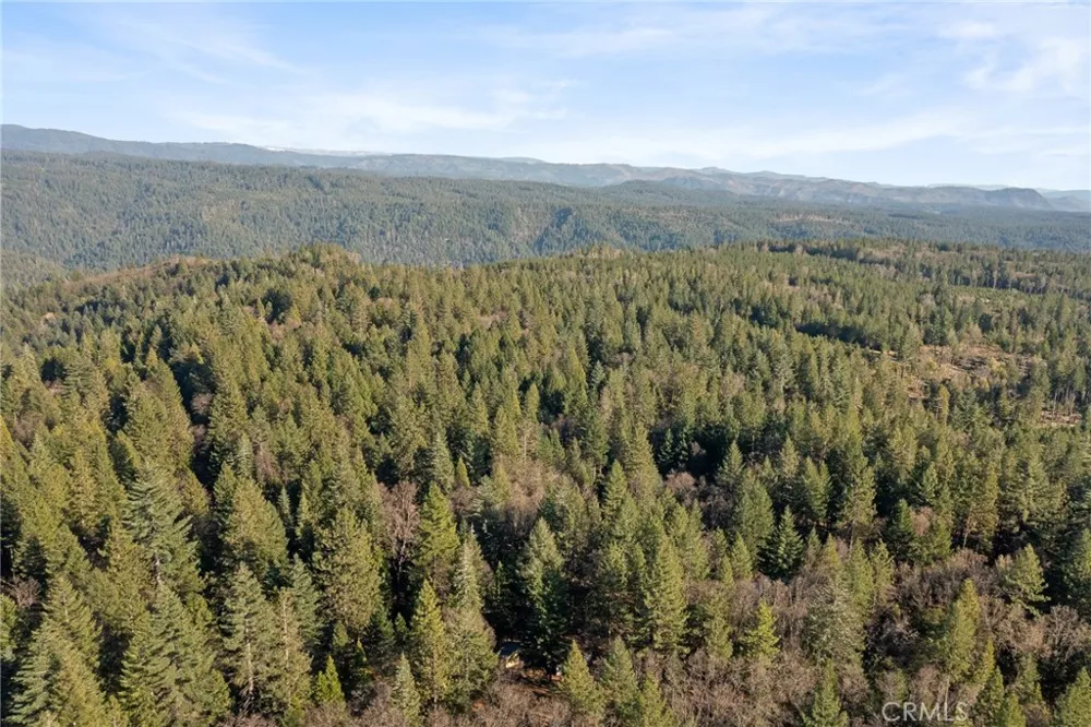 5498 Platt Mountain Forest Ranch, CA 95942