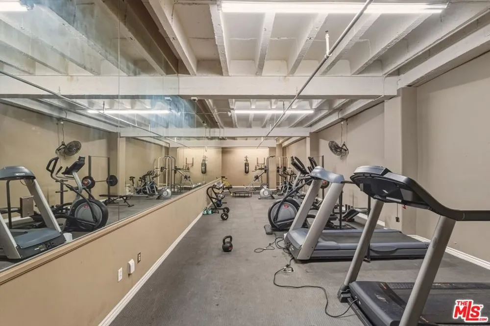 312 W 5th Street #917 Los Angeles, CA 90013