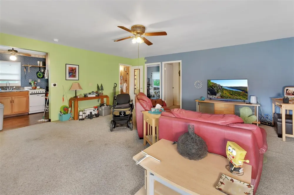 25801 BLUE LAKES DRIVE Paisley, FL 32767