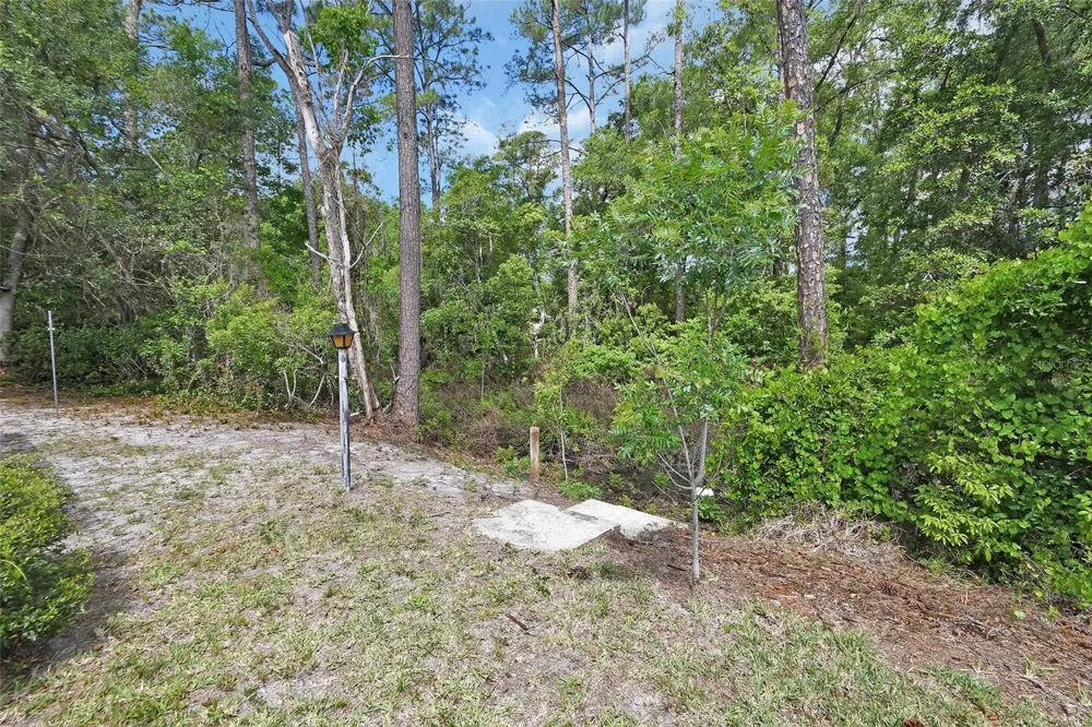 25801 BLUE LAKES DRIVE Paisley, FL 32767