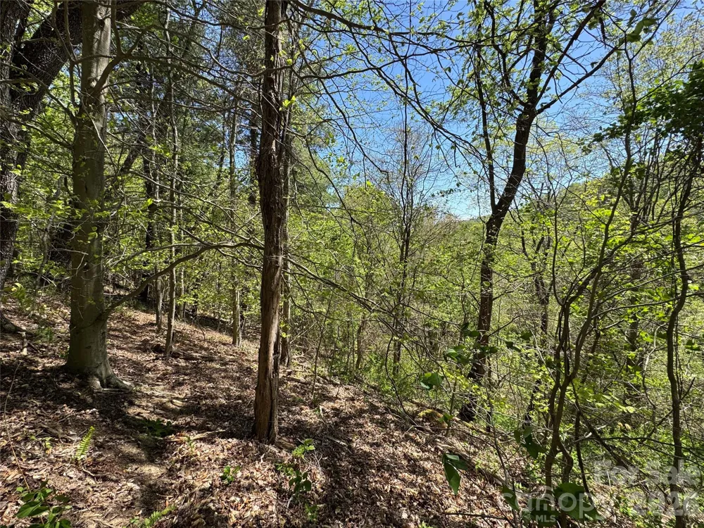 942 Fisher Branch Road Marshall, NC 28753