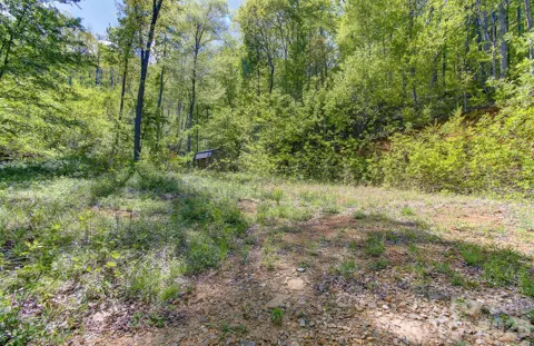 109 & 99999 Apgar Road