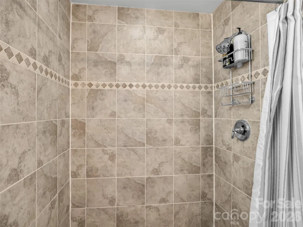 3 Ravine Extension Woodfin, NC 28804