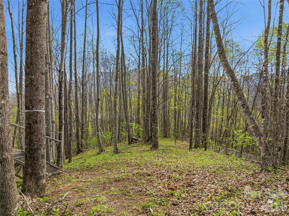 #227 Flying Dutchman Road Sylva, NC 28779