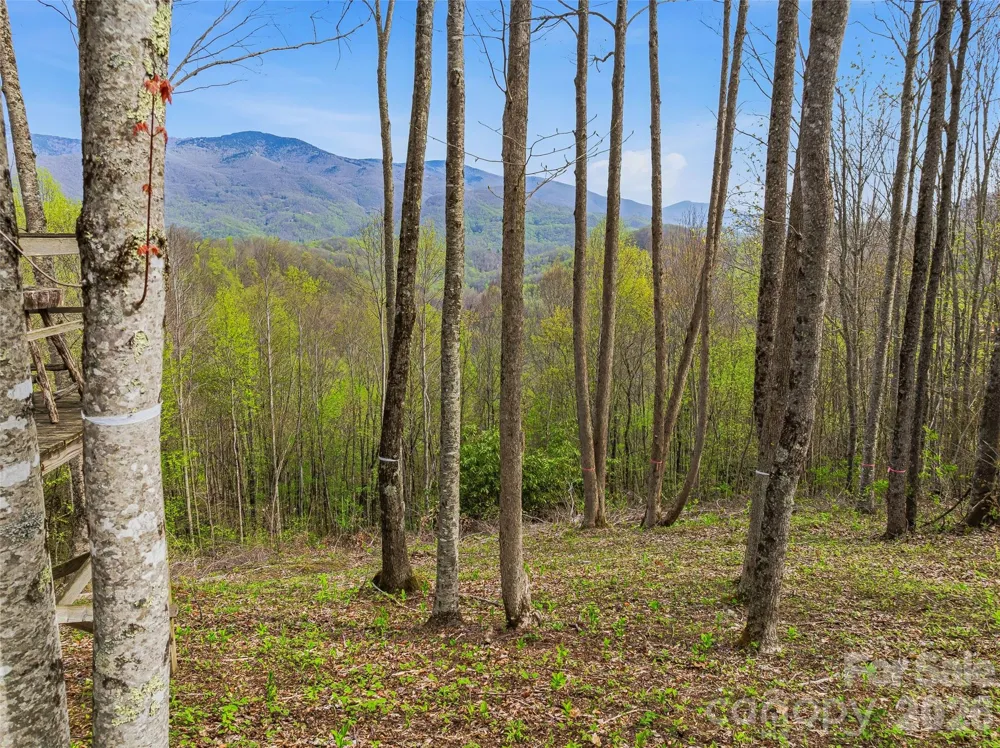 #227 Flying Dutchman Road Sylva, NC 28779