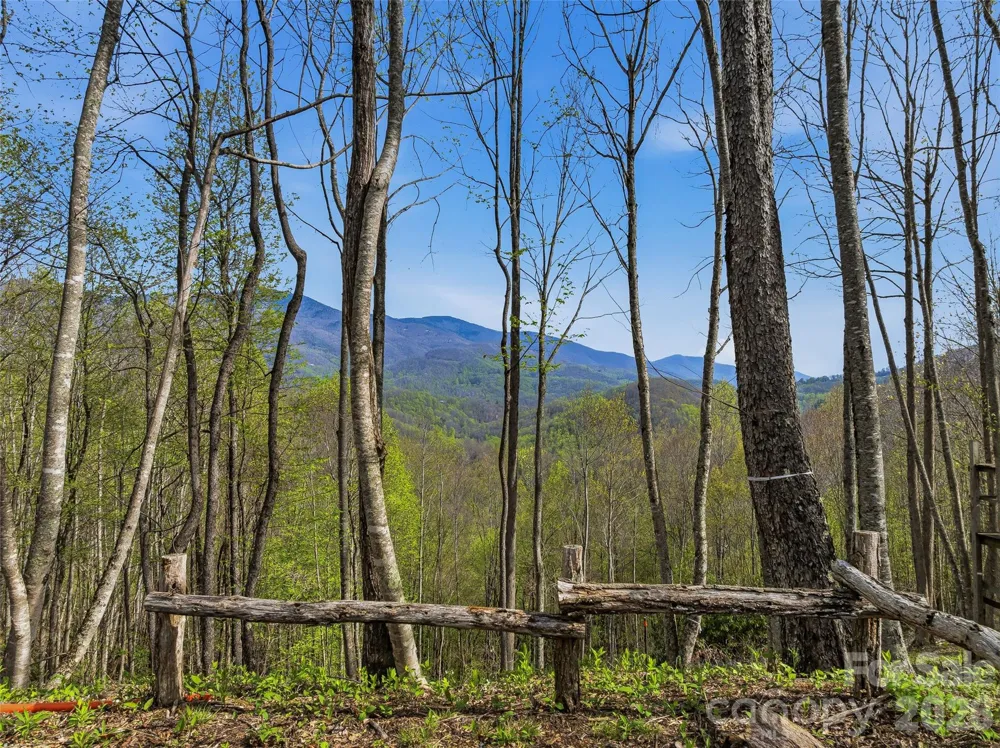 #227 Flying Dutchman Road Sylva, NC 28779
