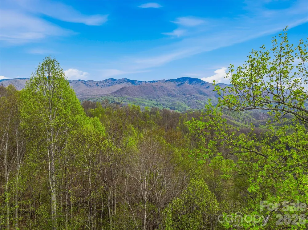 #227 Flying Dutchman Road Sylva, NC 28779