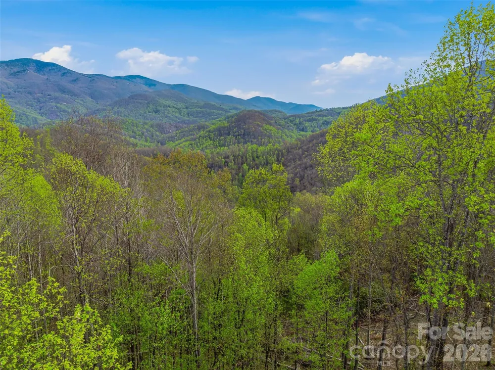 #227 Flying Dutchman Road Sylva, NC 28779
