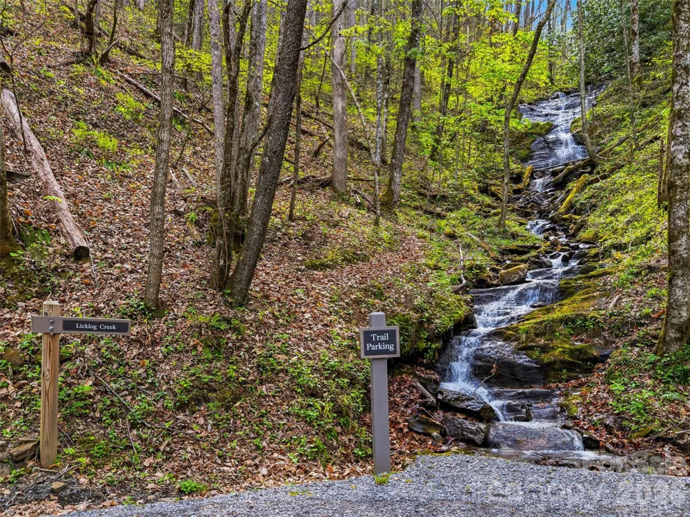 #227 Flying Dutchman Road Sylva, NC 28779