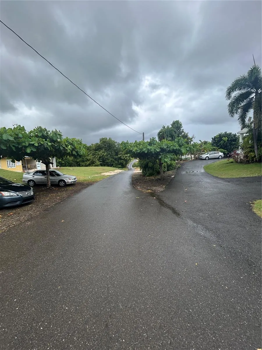 545 SECTOR TORO Coamo, PR 00769