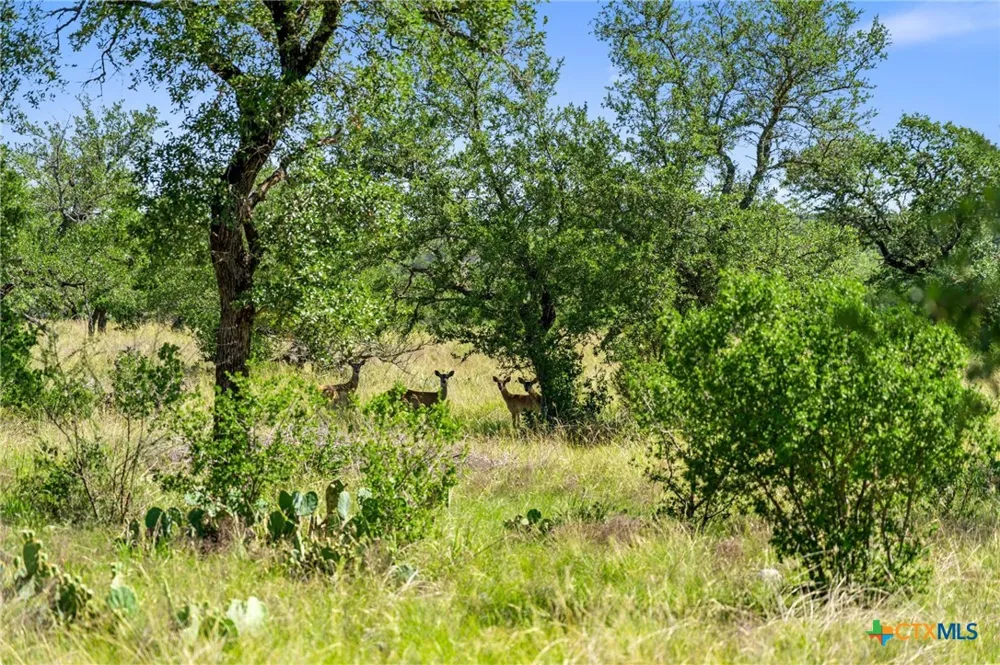 620 Rio Vista Road Johnson City, TX 78636