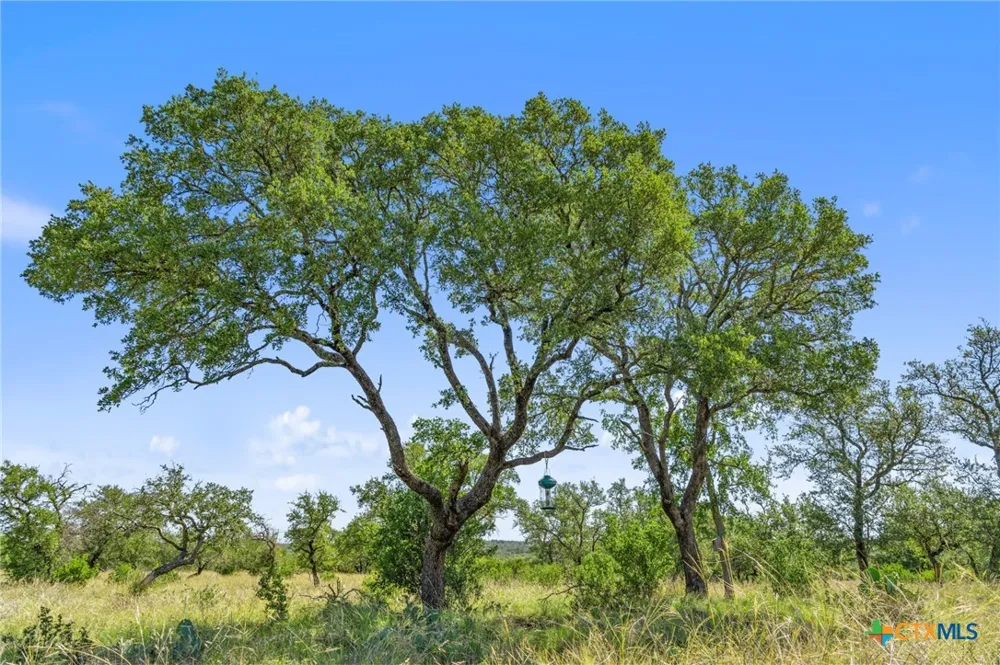 620 Rio Vista Road Johnson City, TX 78636