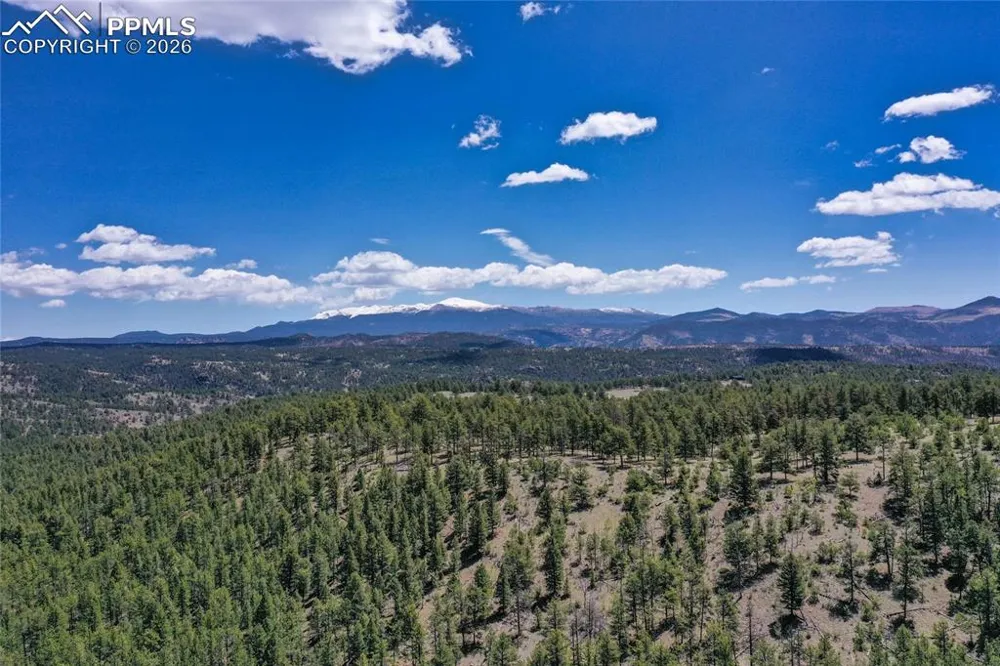 437 Langnis Road Guffey, CO 80820
