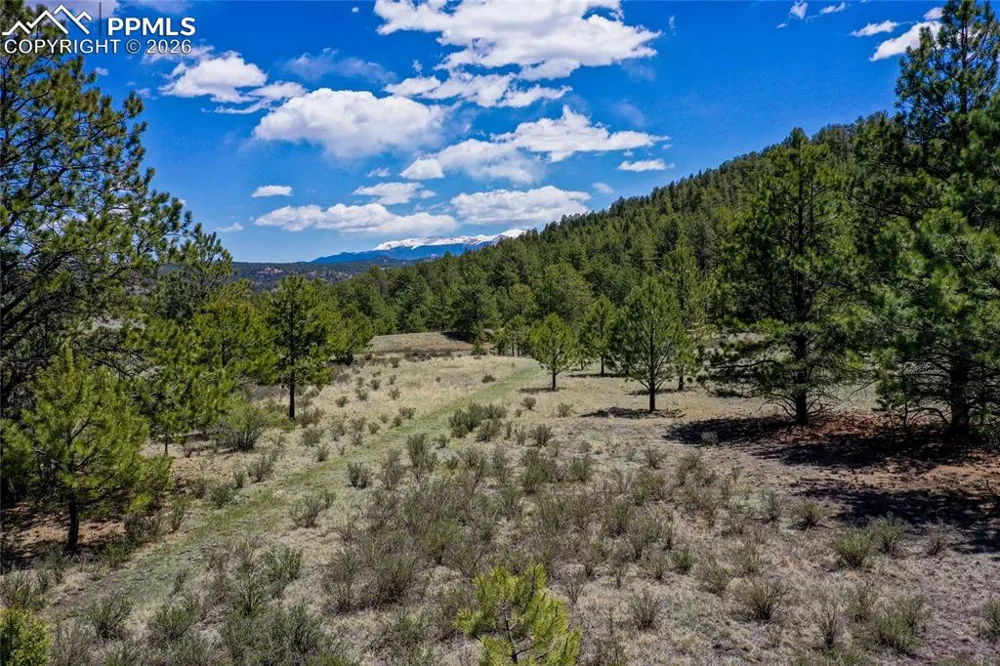 437 Langnis Road Guffey, CO 80820