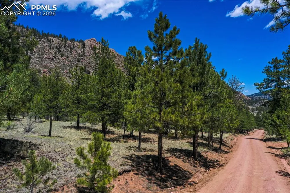 437 Langnis Road Guffey, CO 80820