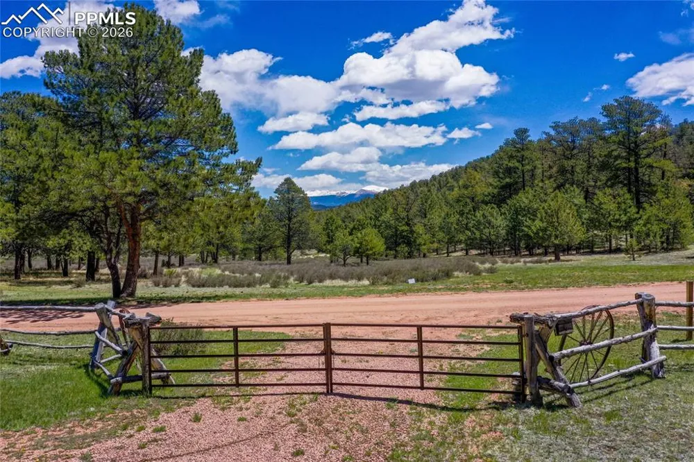 437 Langnis Road Guffey, CO 80820