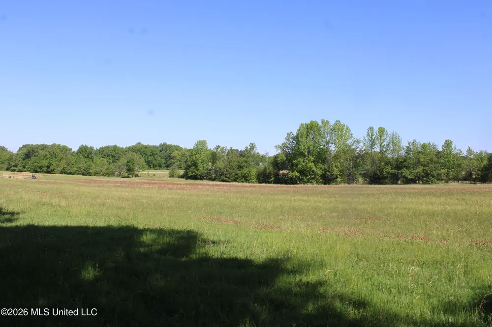 7300 Dean Road Lake Cormorant, MS 38641