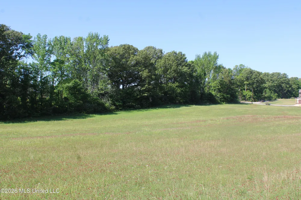 7300 Dean Road Lake Cormorant, MS 38641