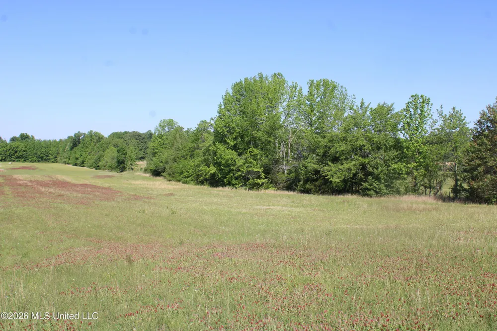 7300 Dean Road Lake Cormorant, MS 38641