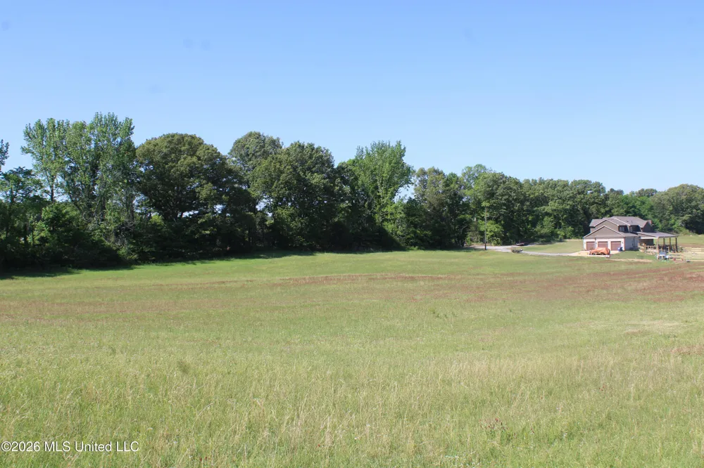 7300 Dean Road Lake Cormorant, MS 38641