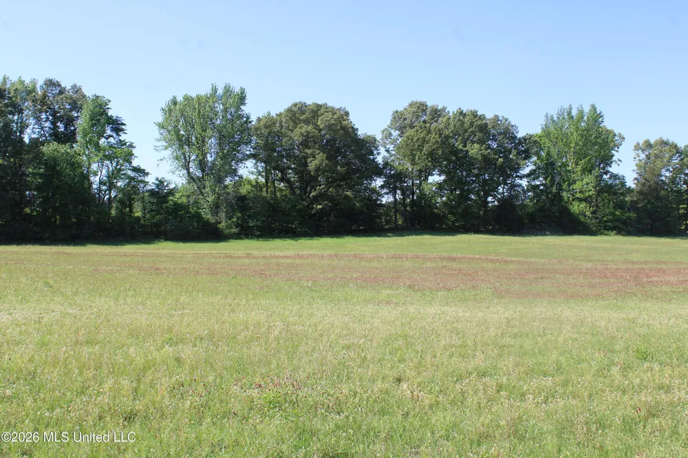 7300 Dean Road Lake Cormorant, MS 38641