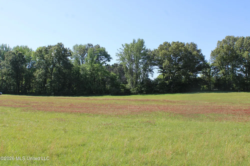 7300 Dean Road Lake Cormorant, MS 38641