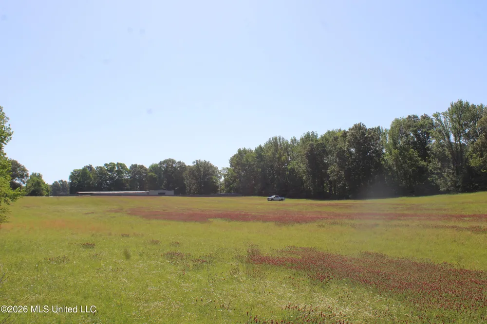 7300 Dean Road Lake Cormorant, MS 38641