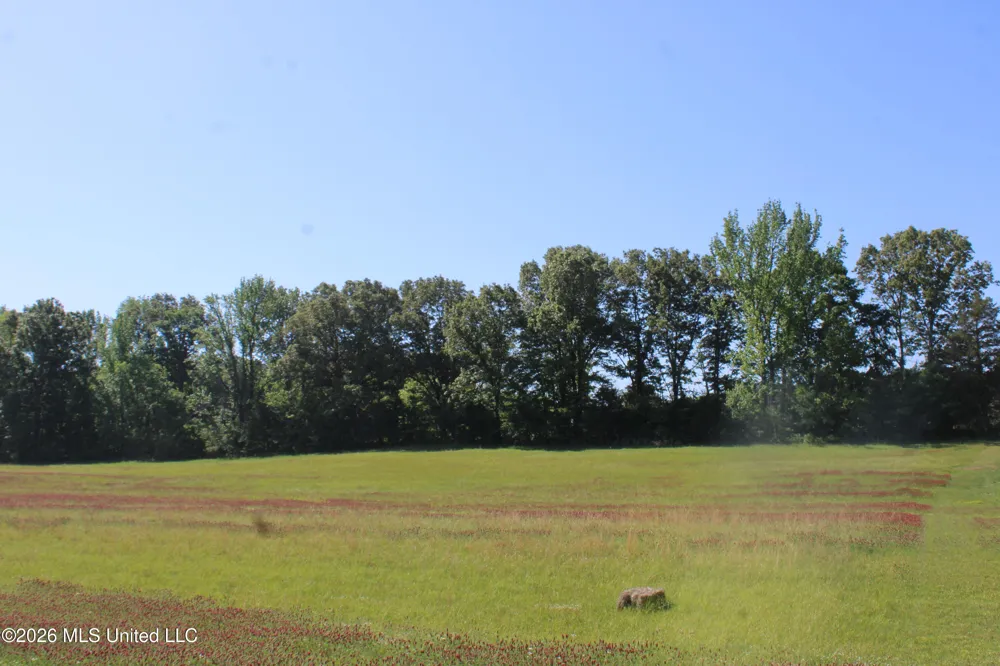 7300 Dean Road Lake Cormorant, MS 38641