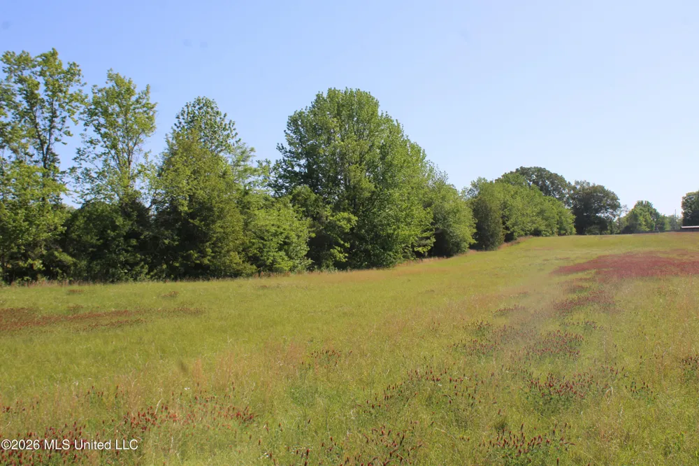 7300 Dean Road Lake Cormorant, MS 38641