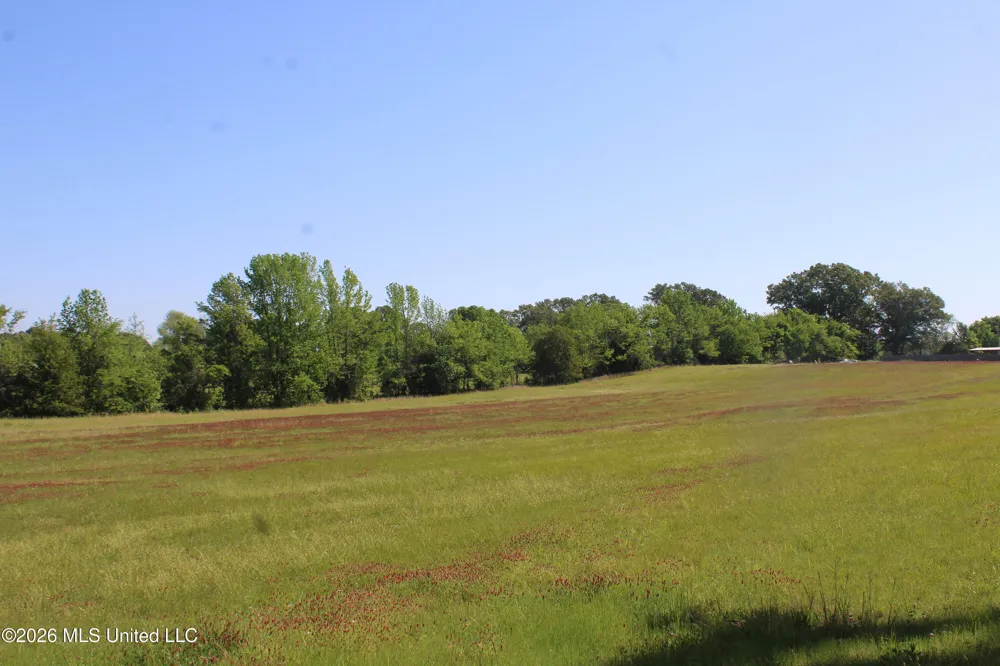 7300 Dean Road Lake Cormorant, MS 38641
