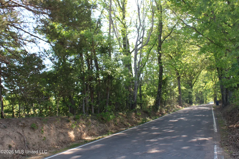 7300 Dean Road Lake Cormorant, MS 38641