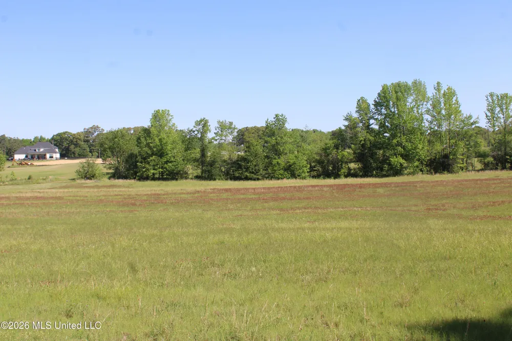 7300 Dean Road Lake Cormorant, MS 38641