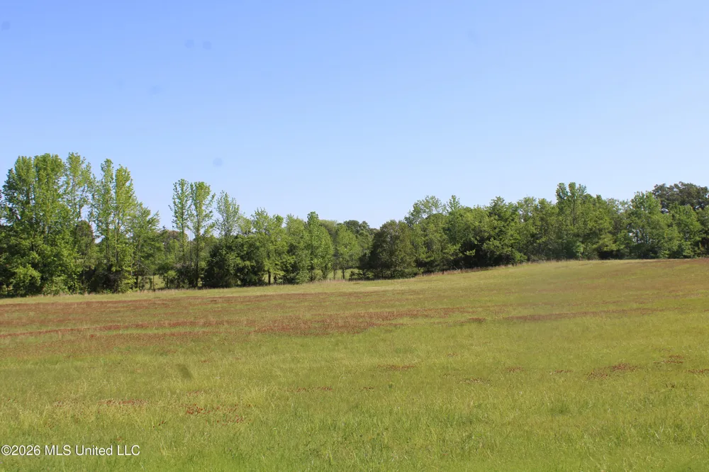 7300 Dean Road Lake Cormorant, MS 38641