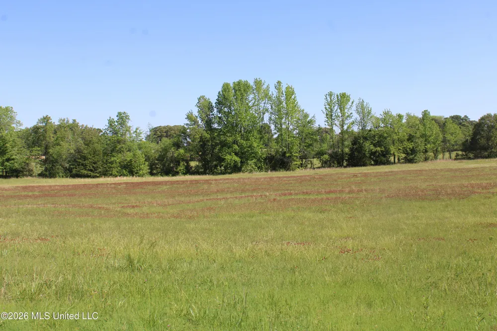 7300 Dean Road Lake Cormorant, MS 38641