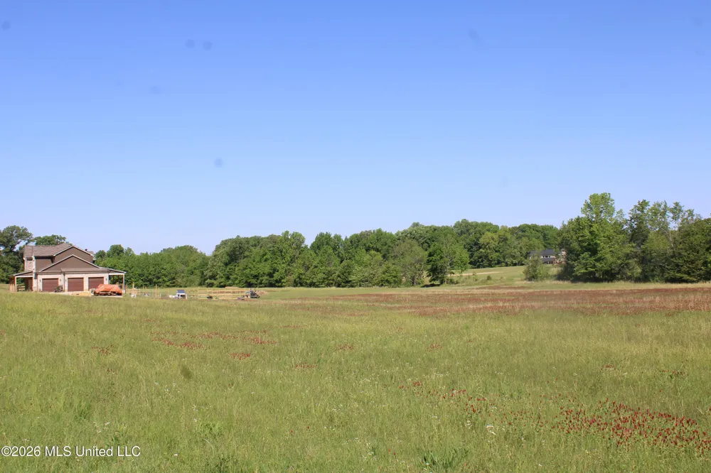 7300 Dean Road Lake Cormorant, MS 38641