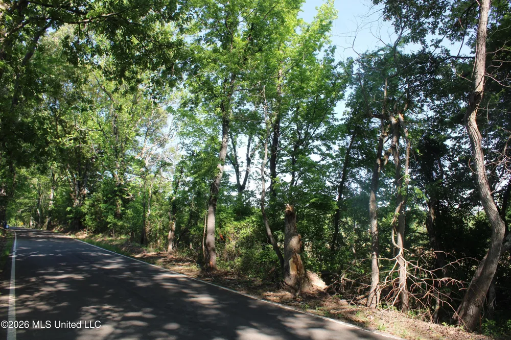 7300 Dean Road Lake Cormorant, MS 38641