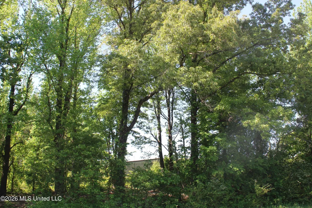 7300 Dean Road Lake Cormorant, MS 38641