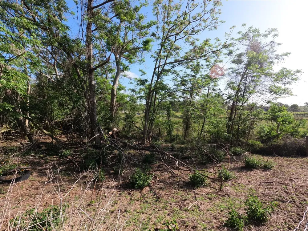0 EARTH STAR LANE Groveland, FL 34736