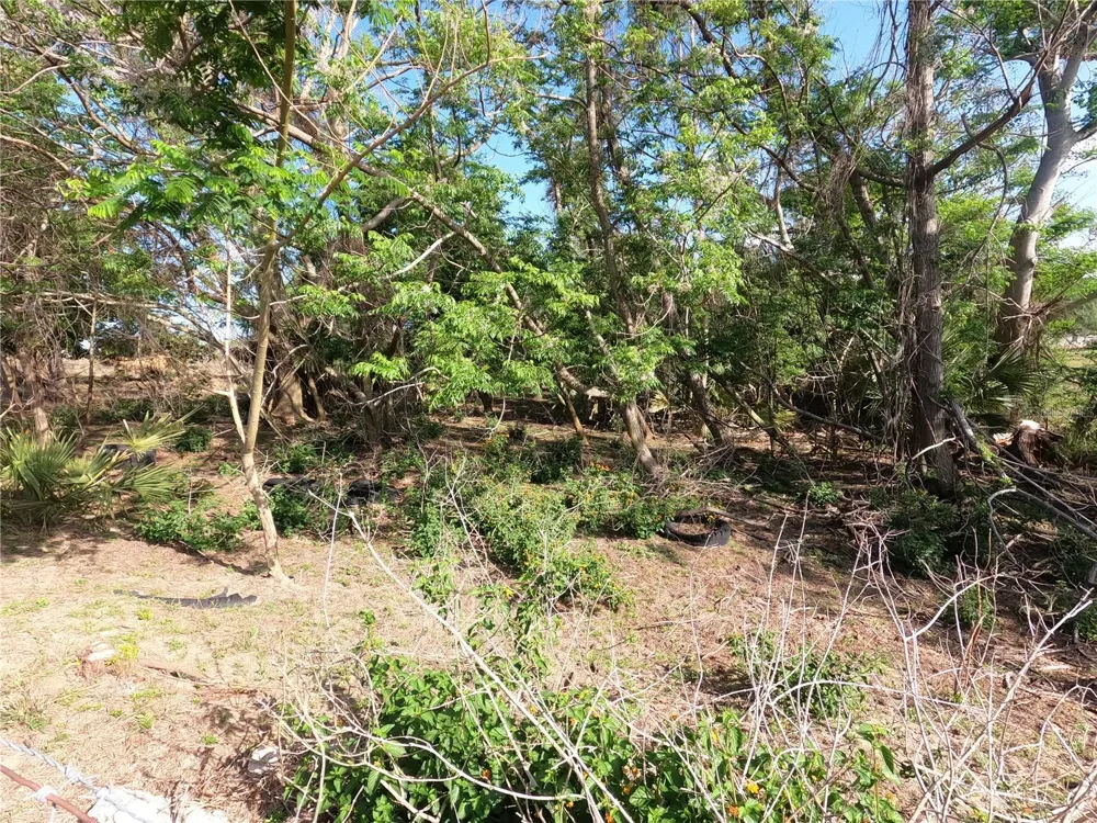 0 EARTH STAR LANE Groveland, FL 34736