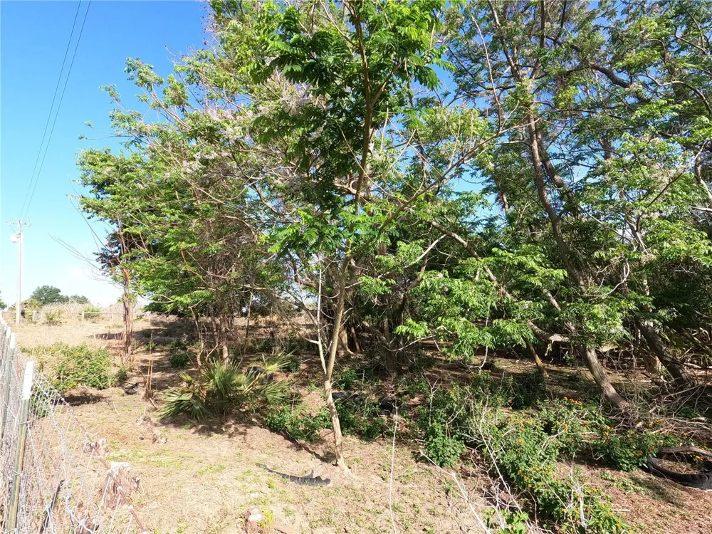 0 EARTH STAR LANE Groveland, FL 34736