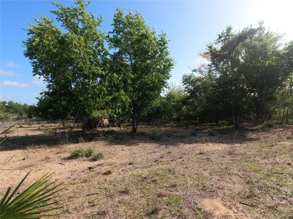 0 EARTH STAR LANE Groveland, FL 34736