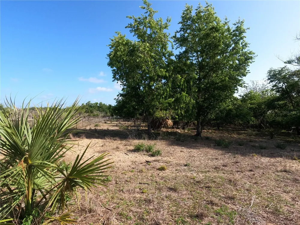 0 EARTH STAR LANE Groveland, FL 34736