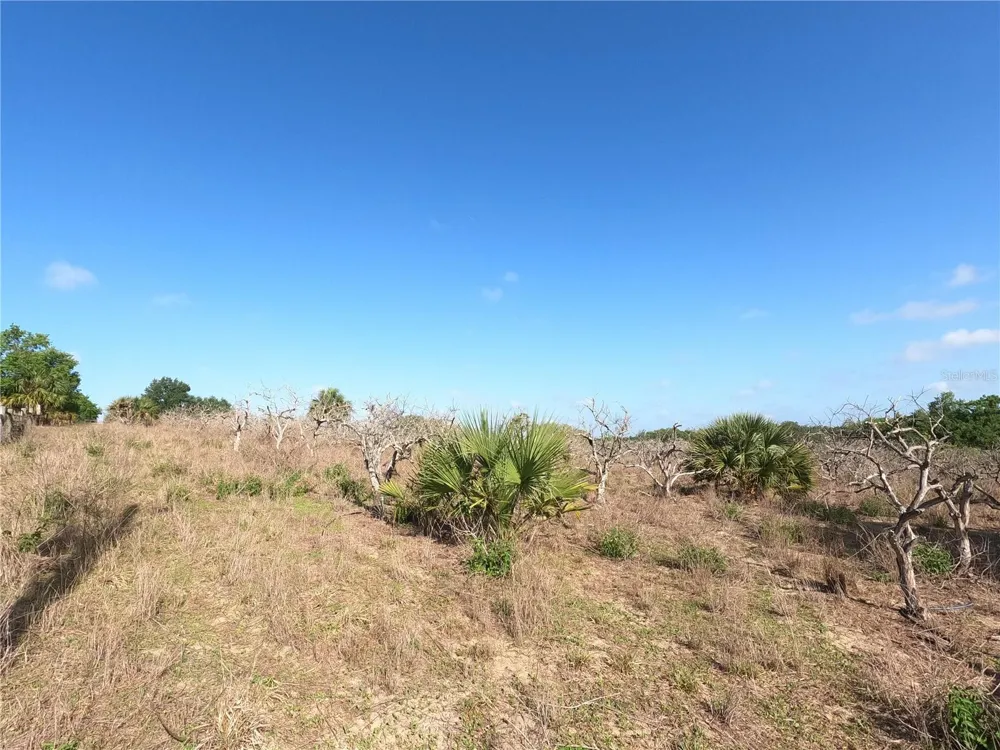 0 EARTH STAR LANE Groveland, FL 34736