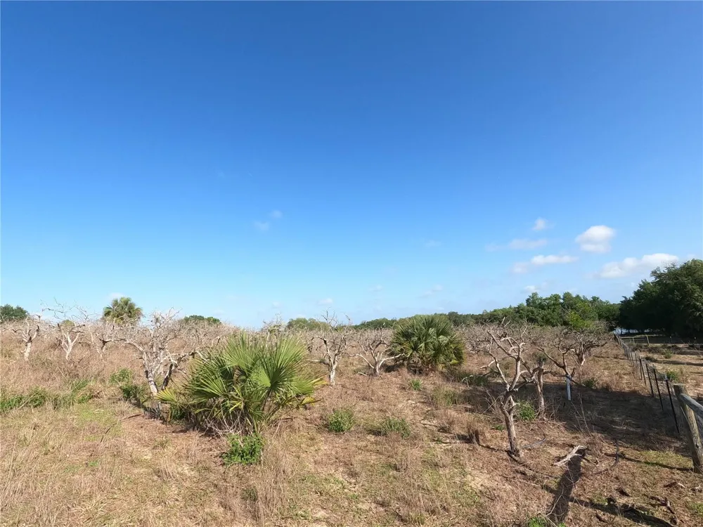 0 EARTH STAR LANE Groveland, FL 34736